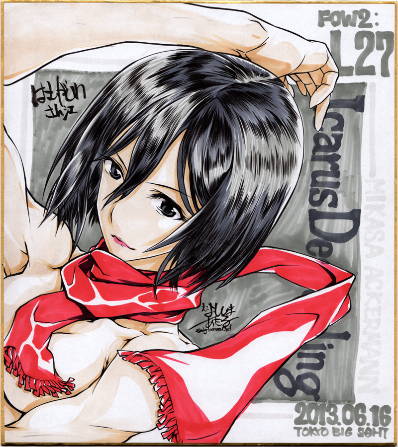mikasa ackerman (shingeki no kyojin) drawn by yoshijima_ataru