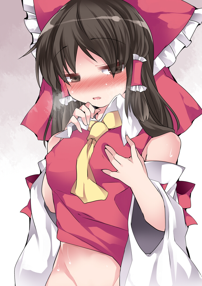 hakurei reimu (touhou) drawn by hammer_(sunset_beach)