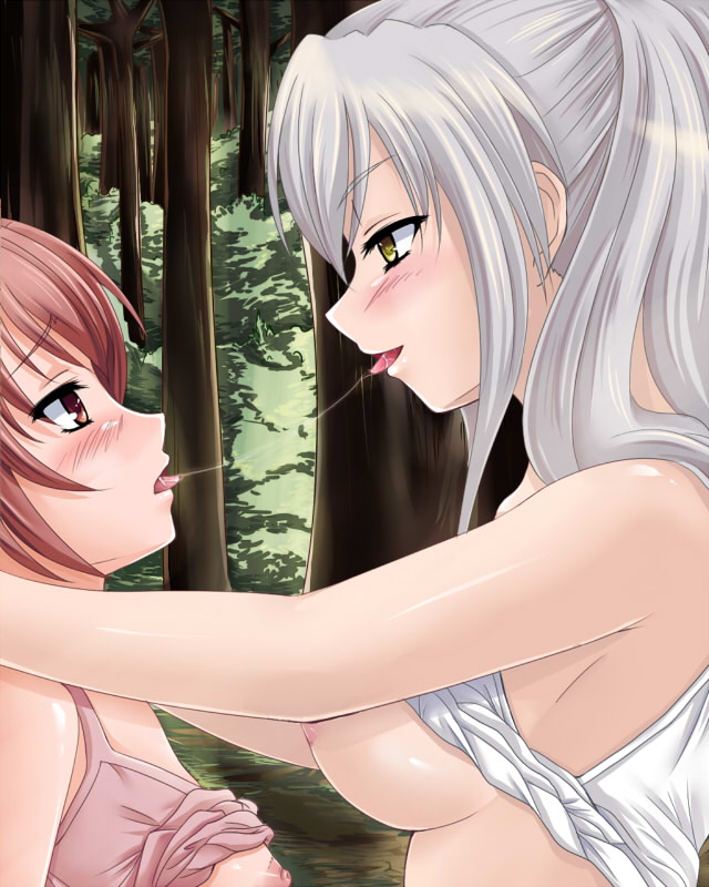 aoi nagisa and hanazono shizuma (strawberry panic!) drawn by hayami_kyuuen