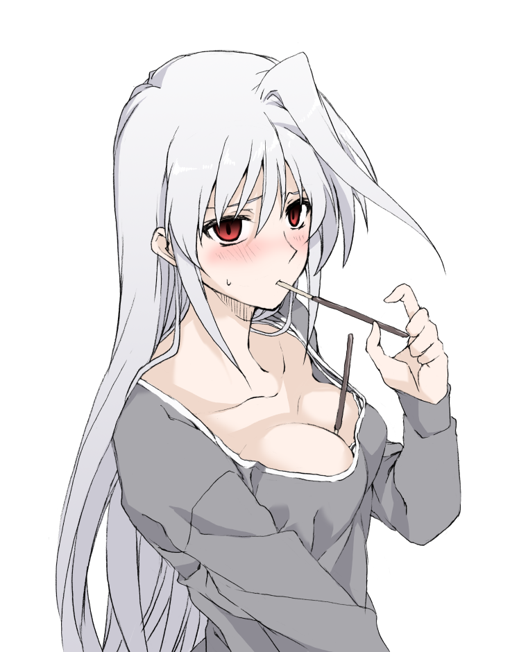 reinforce (lyrical nanoha and 2 more) drawn by elf_(stroll_in_the_woods)