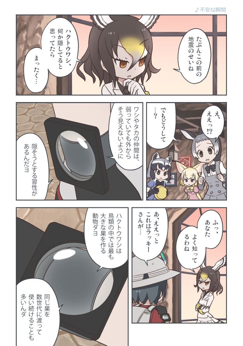 kaban, common raccoon, northern goshawk, and donkey (kemono friends) drawn by quick_waipa
