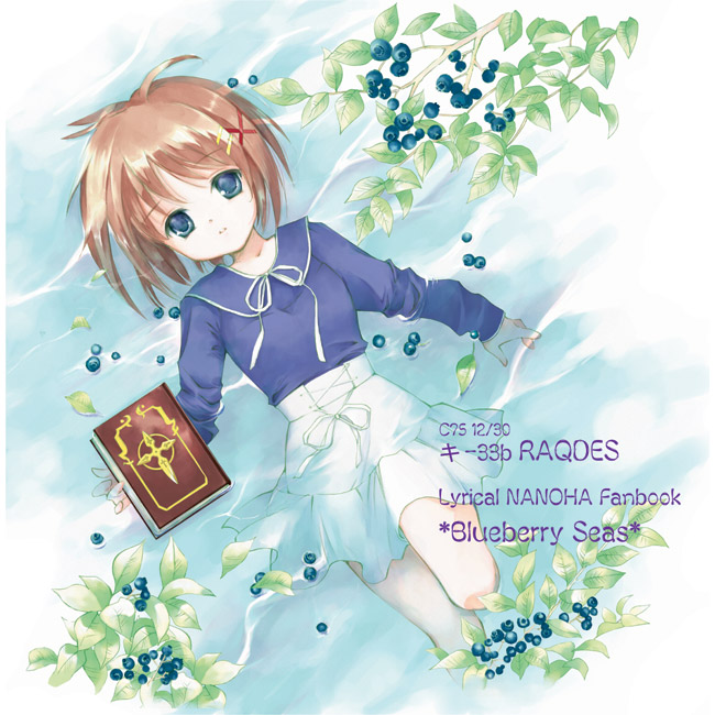 yagami hayate and tome of the night sky (lyrical nanoha and 2 more) drawn by nyoi_(rakunyoi)