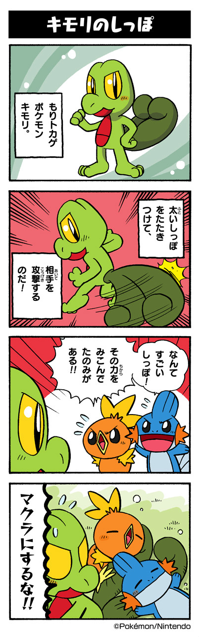 torchic, mudkip, and treecko (pokemon) drawn by yamashita_takahiro