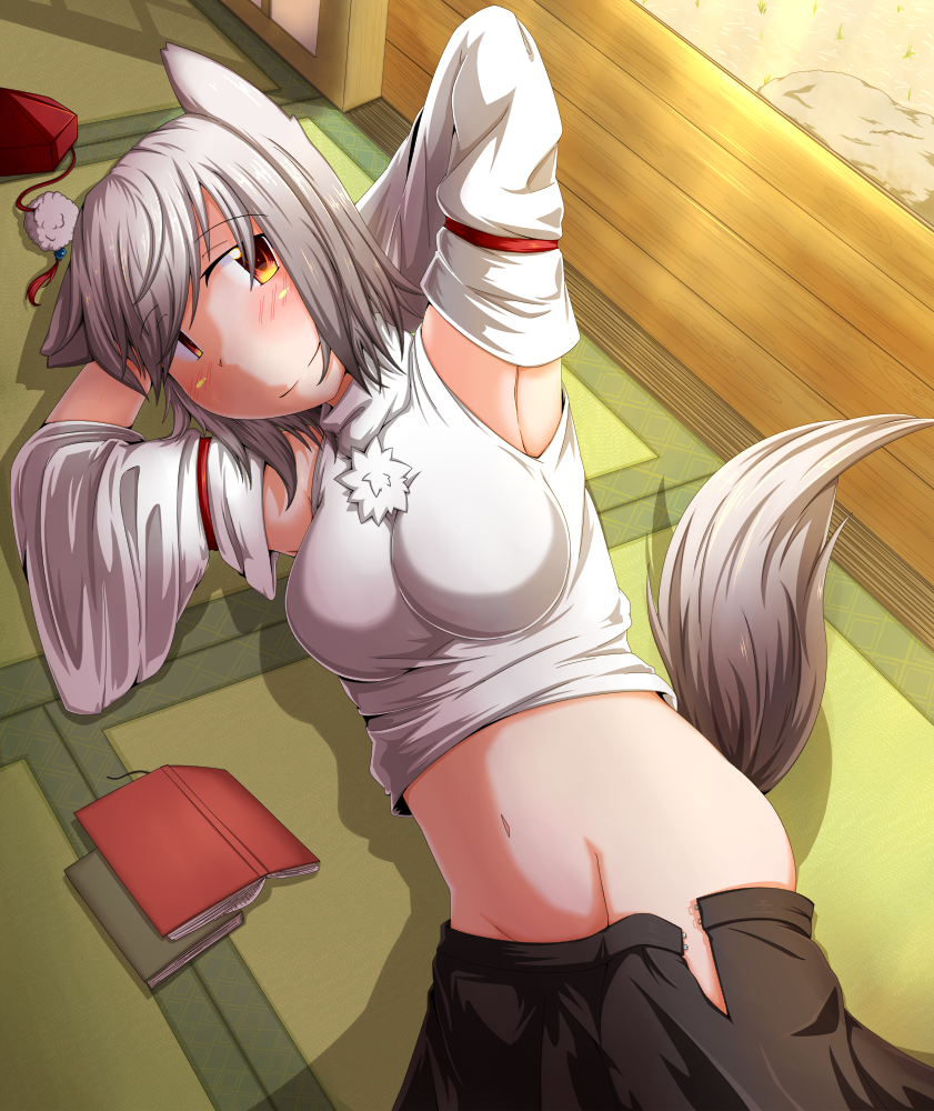 inubashiri momiji (touhou) drawn by chickenman