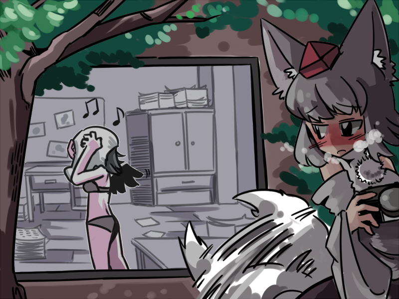 shameimaru aya and inubashiri momiji (touhou) drawn by zassou_maruko