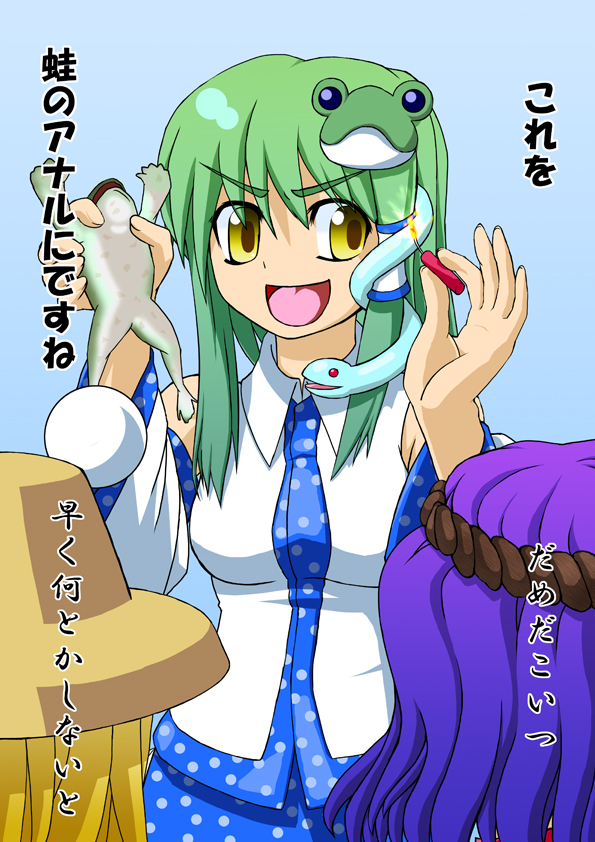kochiya sanae, moriya suwako, and yasaka kanako (touhou) drawn by mizukaze