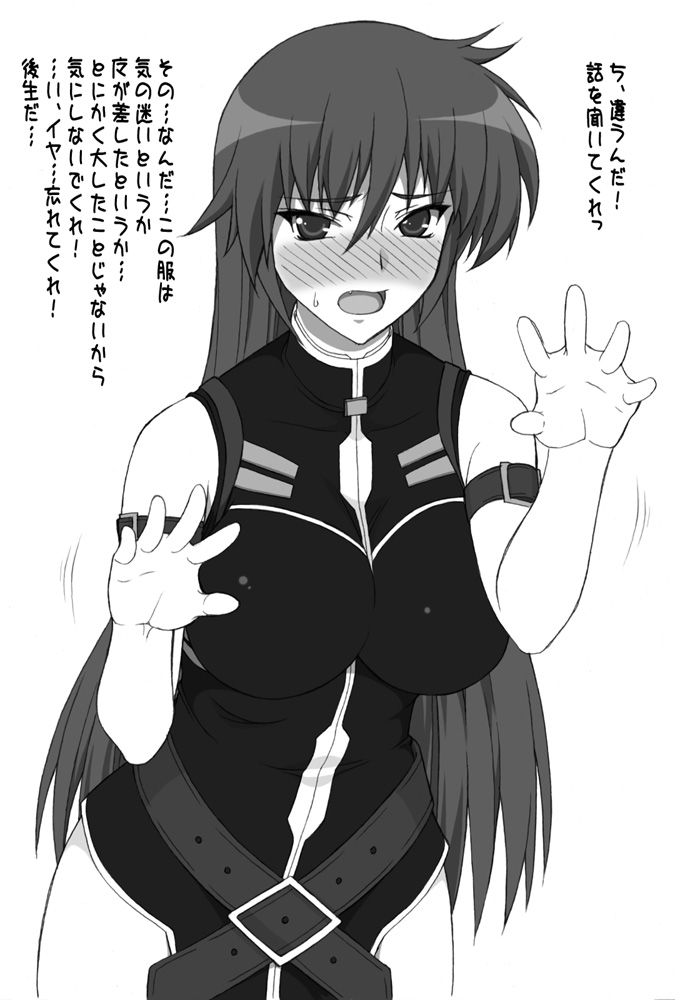 fate testarossa and signum (lyrical nanoha and 3 more) drawn by shichimenchou