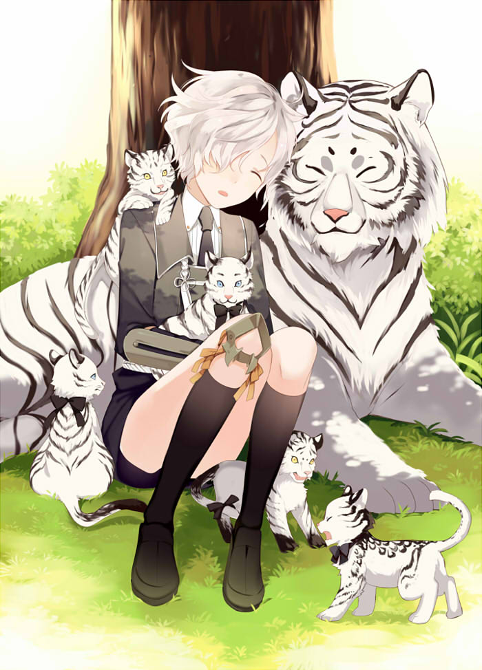 gokotai and gokotai's tigers (touken ranbu) drawn by jiman