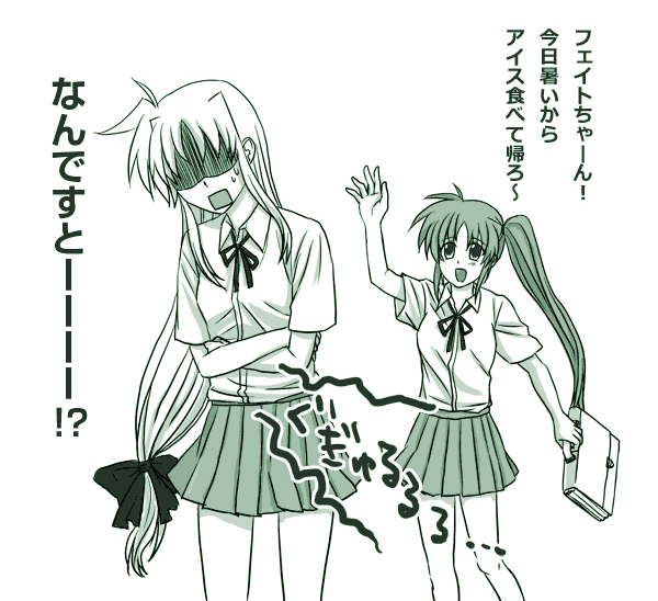 fate testarossa and takamachi nanoha (lyrical nanoha and 1 more)
