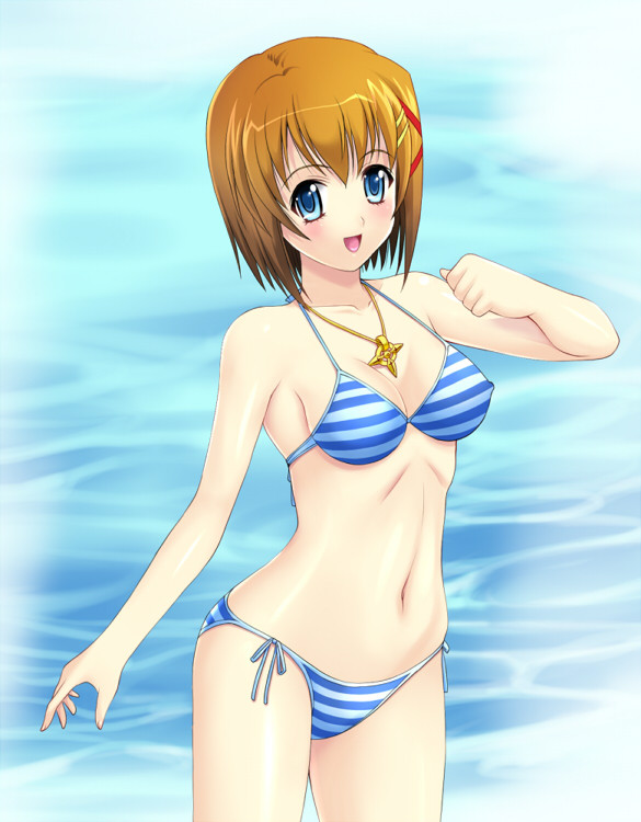 yagami hayate and schwertkreuz (lyrical nanoha and 1 more) drawn by kakogawa_tarou