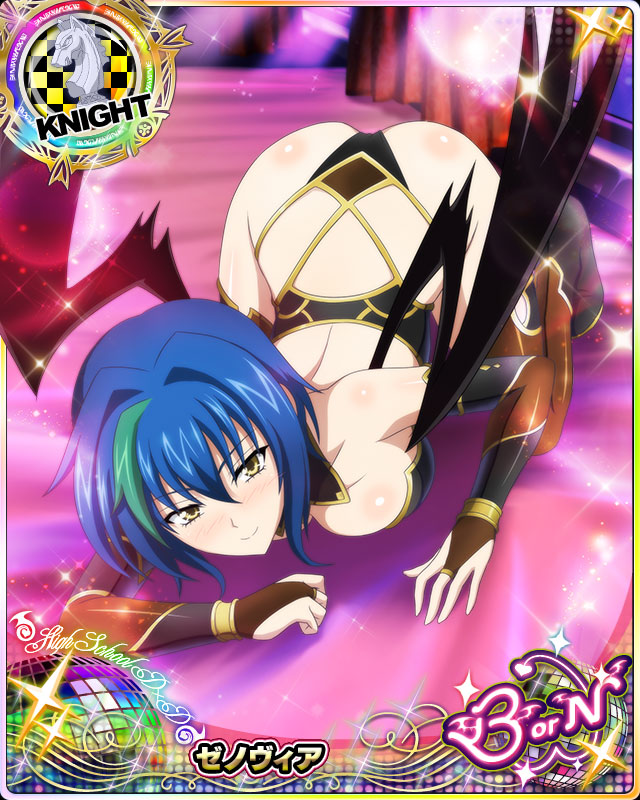 xenovia quarta (high school dxd and 1 more)