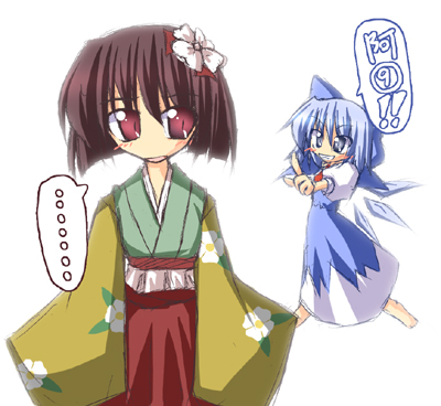 cirno and hieda no akyuu (touhou) drawn by ichidai_taisa