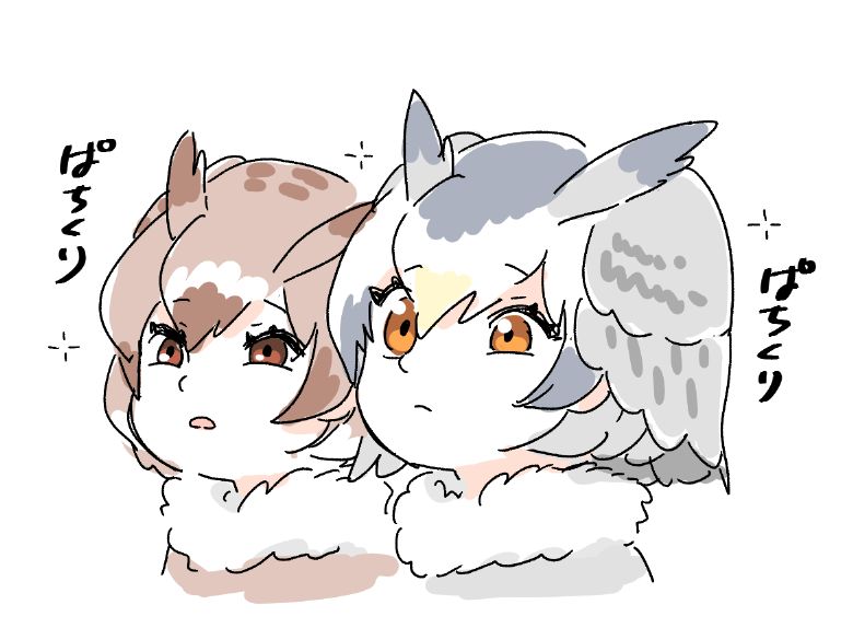 northern white-faced owl and eurasian eagle owl (kemono friends) drawn by mitsumoto_jouji