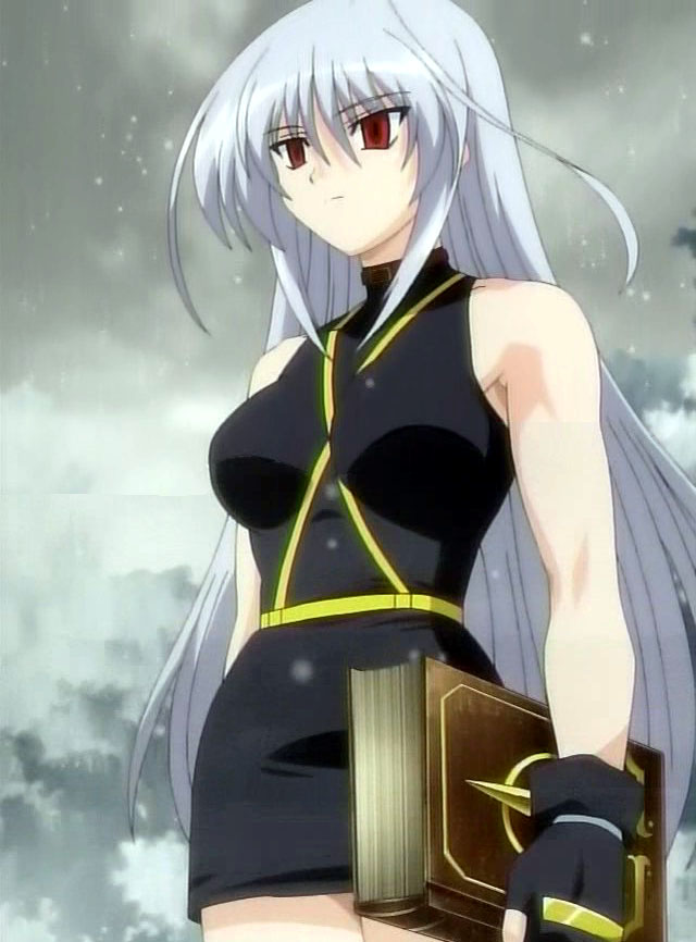 reinforce and tome of the night sky (lyrical nanoha and 2 more)
