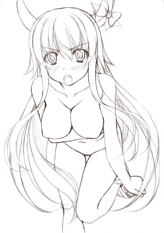 kamishirasawa keine and ex-keine (touhou) drawn by sin-go