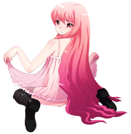 louise francoise le blanc de la valliere (zero no tsukaima) drawn by blapan