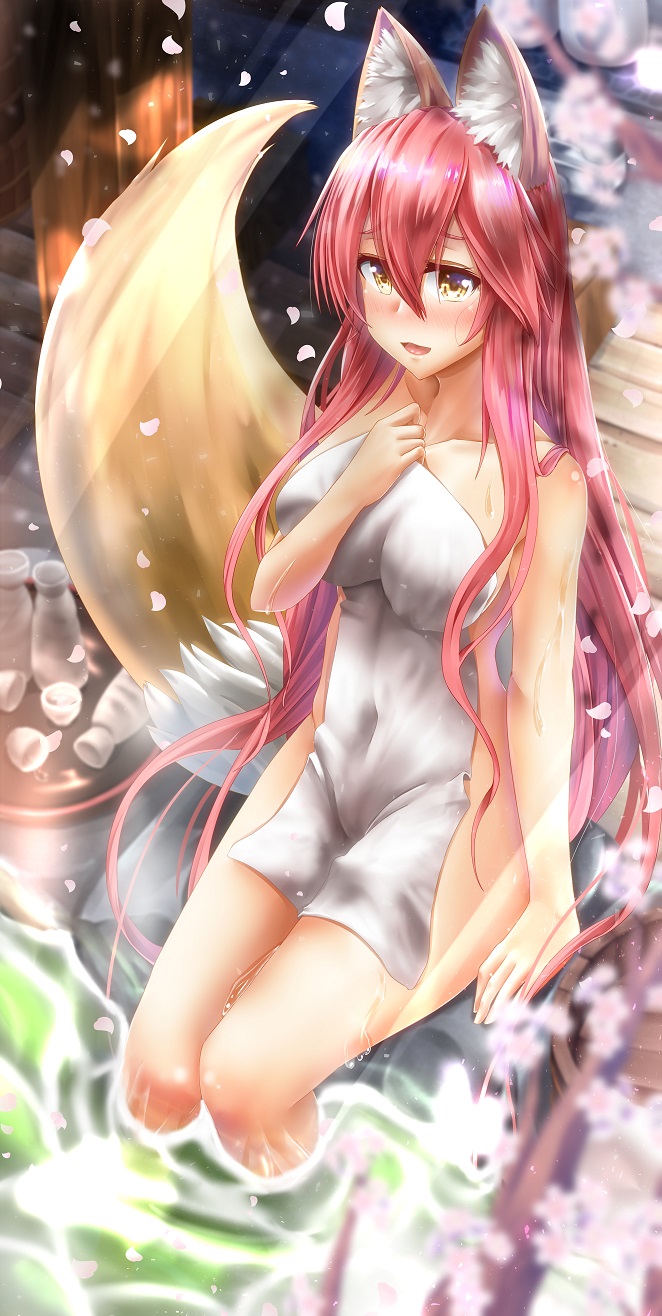 tamamo and tamamo no mae (fate and 1 more) drawn by totororo