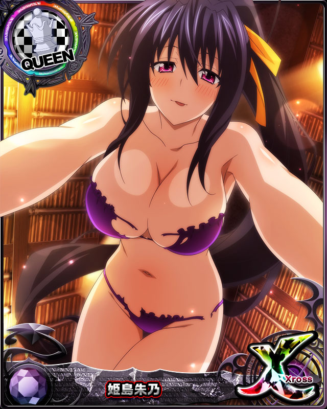 himejima akeno (high school dxd and 1 more)