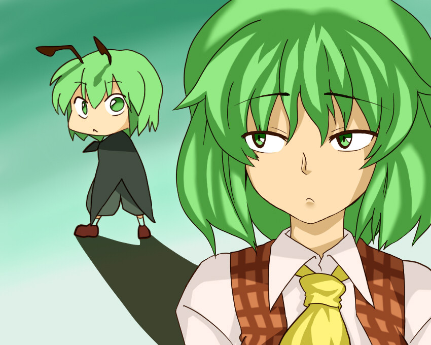 kazami yuuka and wriggle nightbug (touhou) drawn by ippo_(pixiv384625)