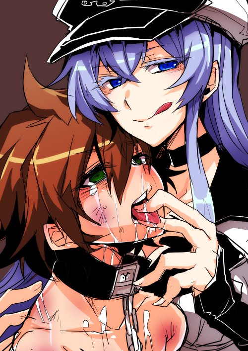 esdeath and tatsumi (akame ga kill!) drawn by haoro