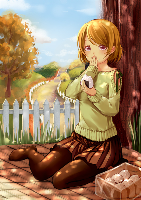 koizumi hanayo (love live! and 1 more) drawn by clouble