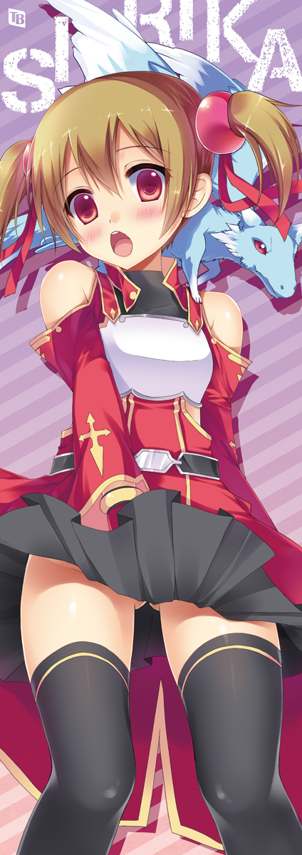 silica and pina (sword art online) drawn by sousouman