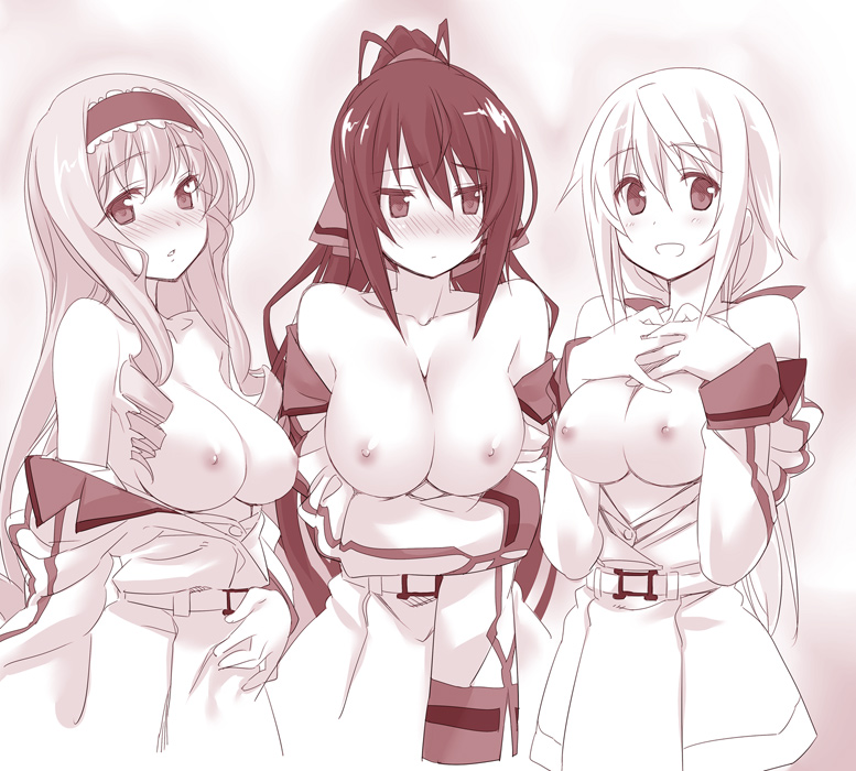 charlotte dunois, cecilia alcott, and shinonono houki (infinite stratos) drawn by himura_kiseki