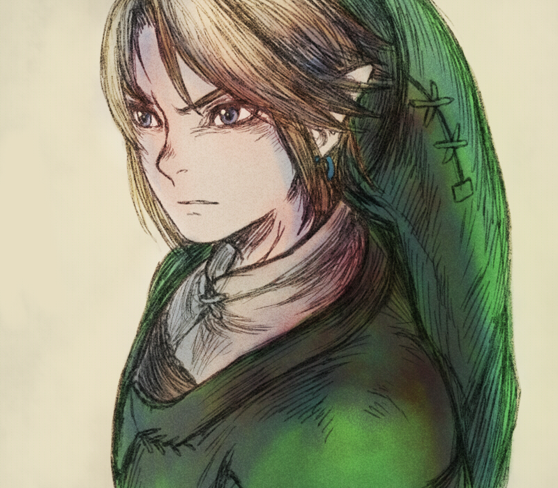 link (the legend of zelda and 1 more) drawn by maeka_(kumaekake)