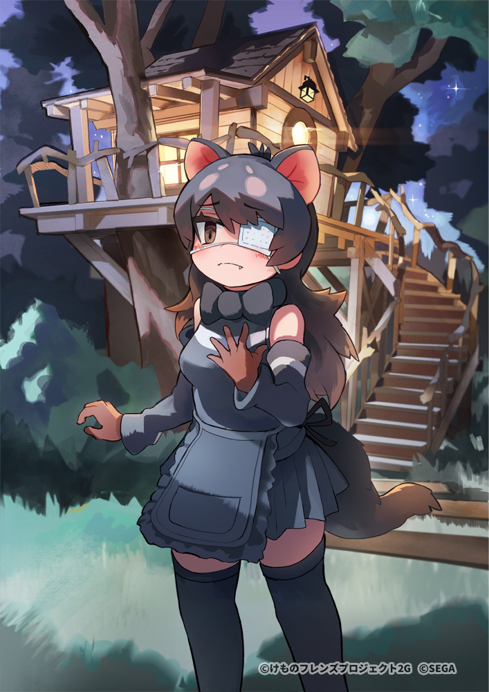 australian devil (kemono friends and 1 more) drawn by saltlaver