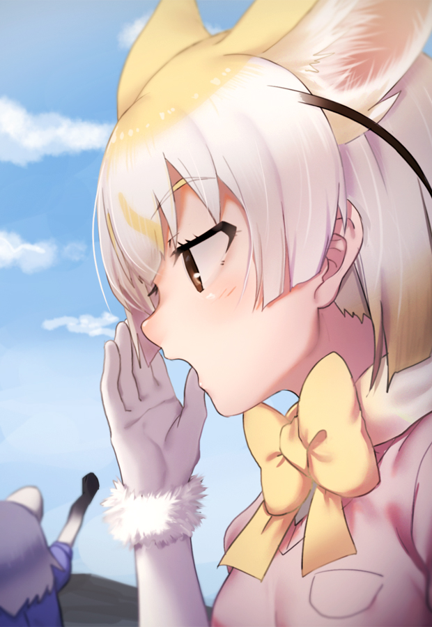 common raccoon and fennec (kemono friends) drawn by nyifu