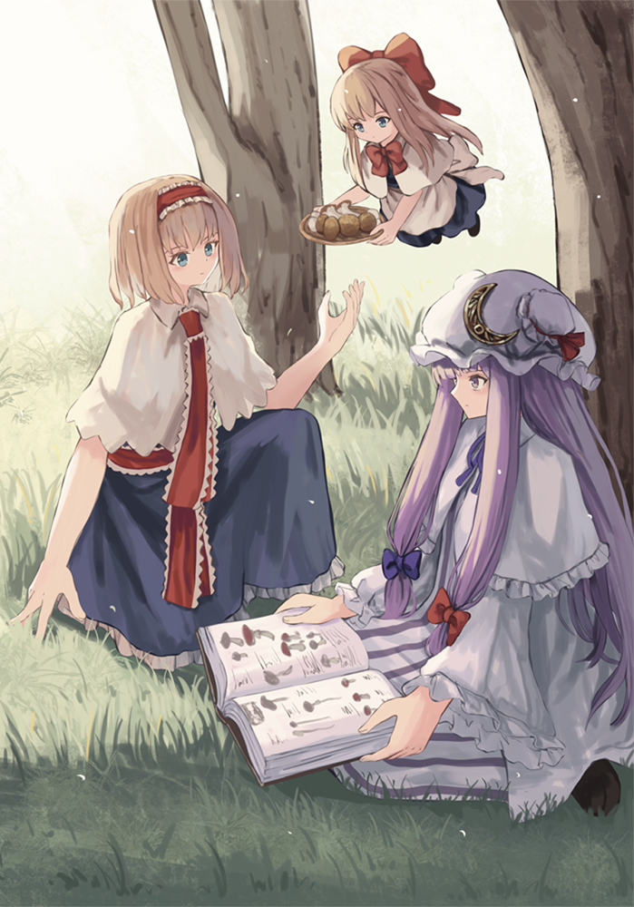 alice margatroid, patchouli knowledge, and shanghai doll (touhou) drawn by ookashippo