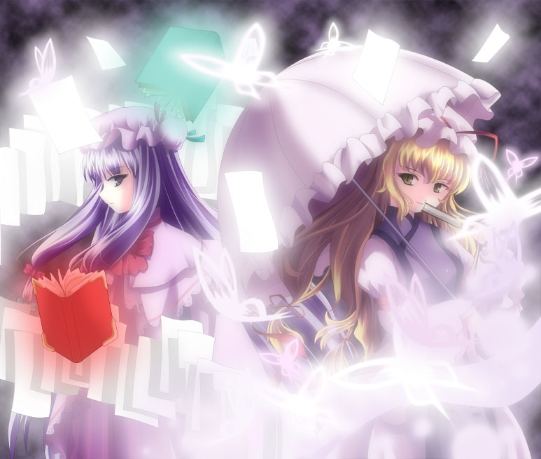 patchouli knowledge and yakumo yukari (touhou) drawn by mizuki_matsuri