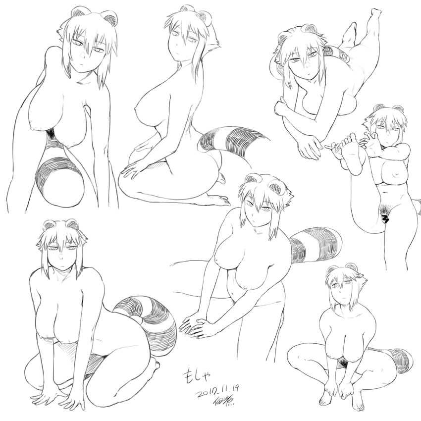 araiguma-san (original) drawn by tsukudani_(coke-buta)