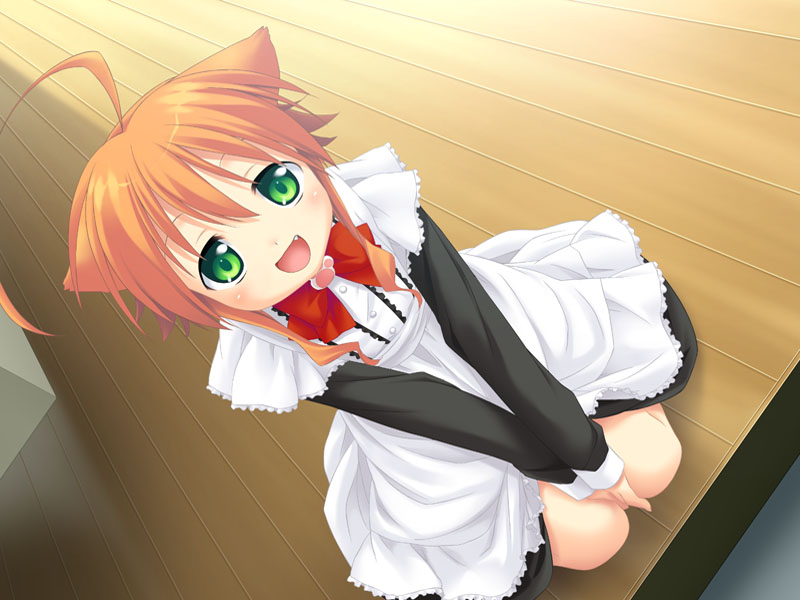 mikan (wanko to kurasou) drawn by mizuki_kotora