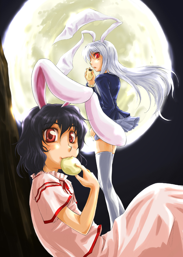 reisen udongein inaba and inaba tewi (touhou) drawn by yaji_(kitizoto)