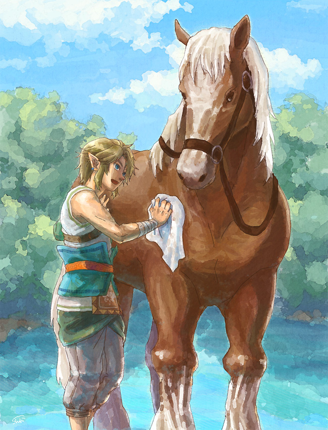 link and epona (the legend of zelda and 1 more) drawn by shushu_(pixiv)