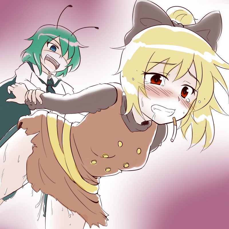 wriggle nightbug and kurodani yamame (touhou) drawn by konokiya