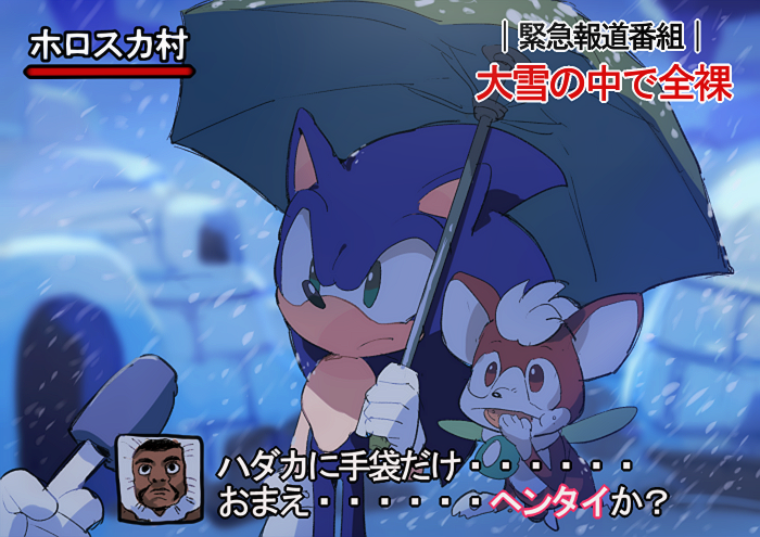 sonic the hedgehog, chip, and jari-thure (sonic and 1 more) drawn by aoki_(fumomo)