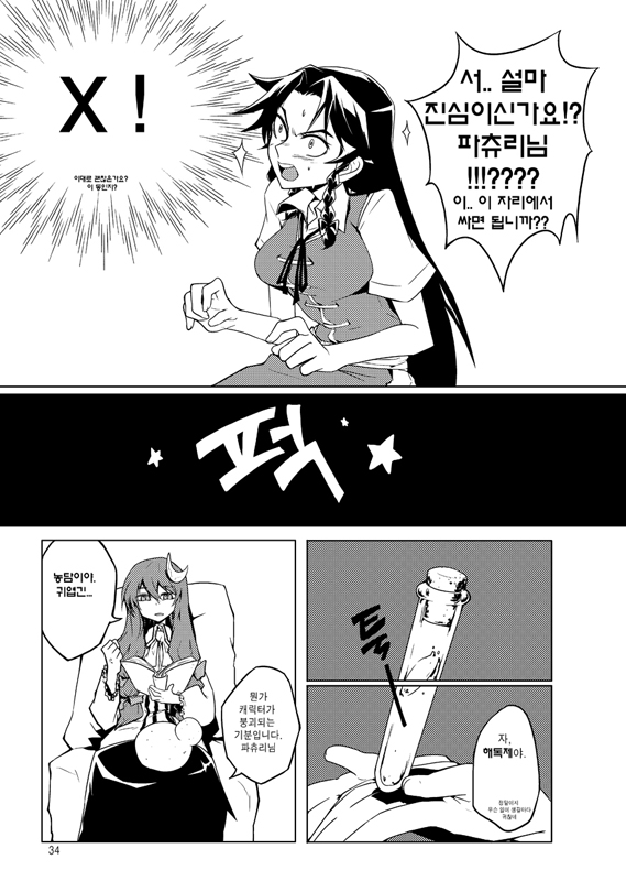 patchouli knowledge and hong meiling (touhou) drawn by tima