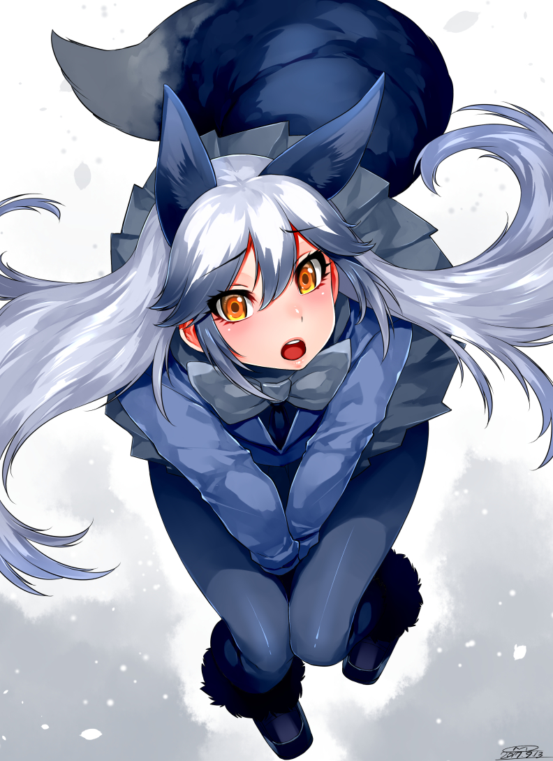 silver fox (kemono friends) drawn by mitsuba_minoru