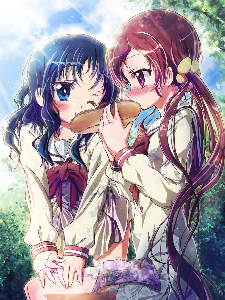 kurumi erika and hanasaki tsubomi (precure and 1 more) drawn by inoshishi_(ikatomo)