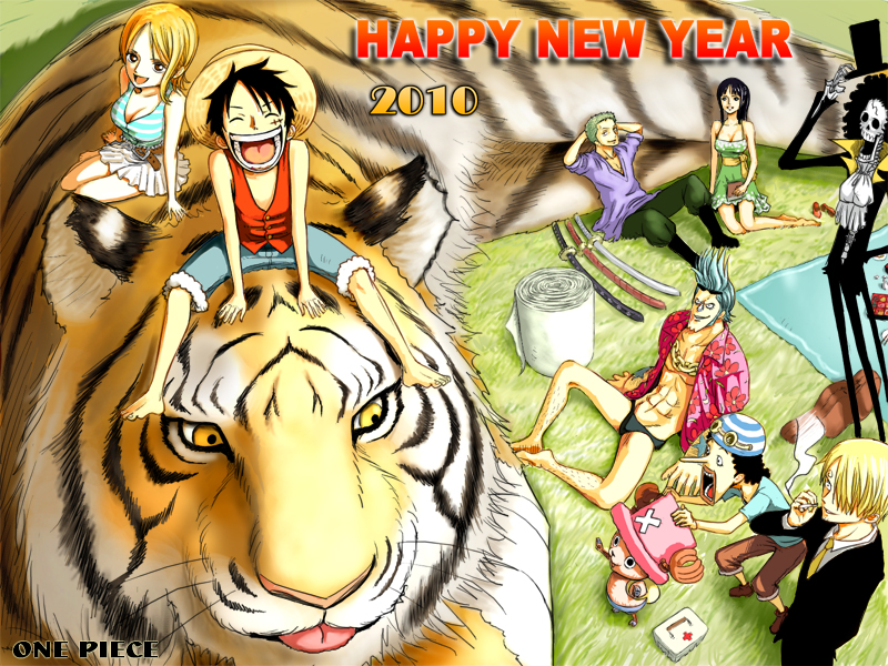 nami, monkey d. luffy, nico robin, roronoa zoro, sanji, and 4 more (one piece) drawn by zugan_(berugkamp)