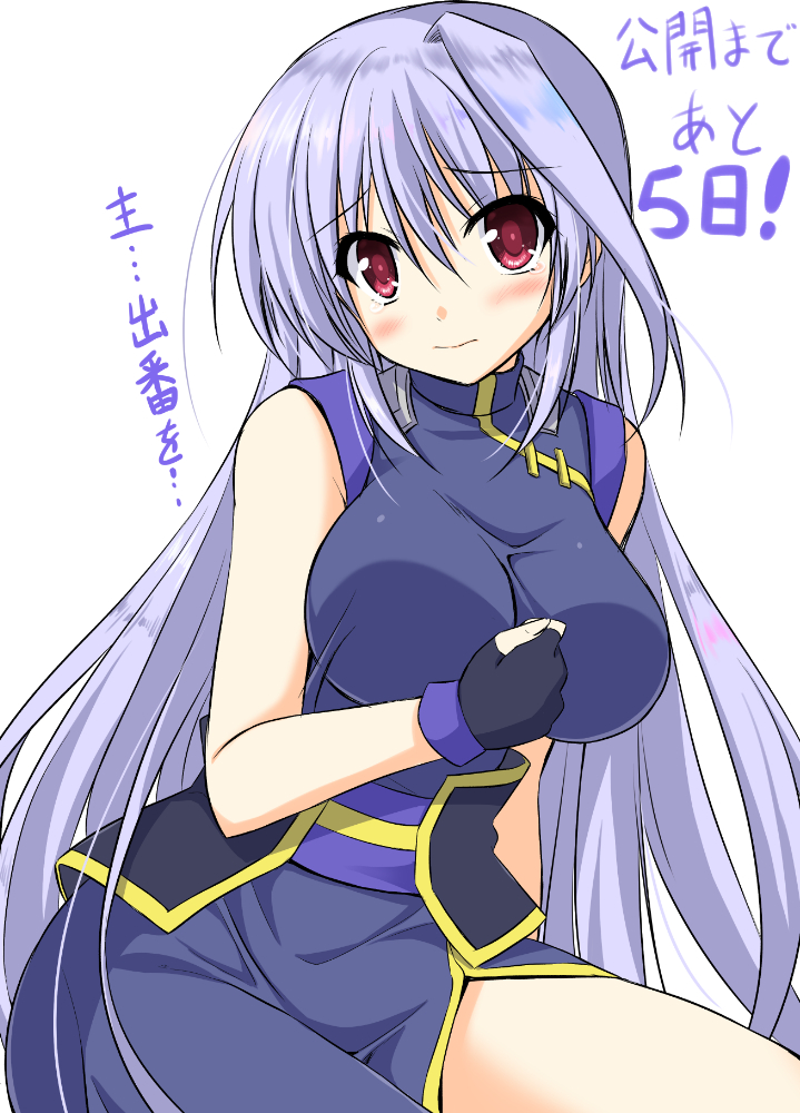 reinforce (lyrical nanoha and 2 more) drawn by endori