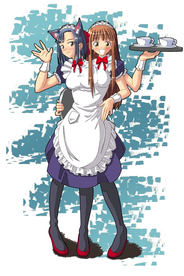 sakurazaki setsuna and konoe konoka (mahou sensei negima!) drawn by gammatelier