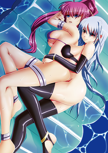 signum and reinforce (lyrical nanoha) drawn by tappa_(esperanza)