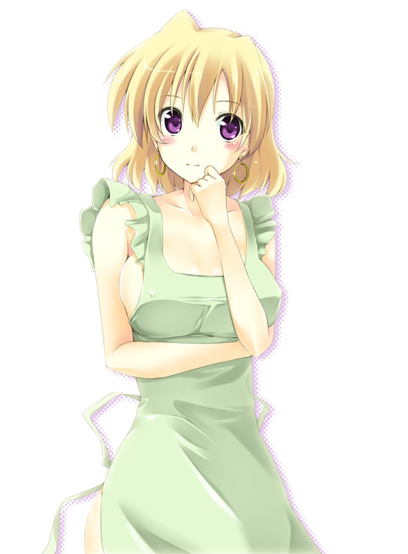 shamal (lyrical nanoha and 1 more) drawn by aito_(indigorabbit)