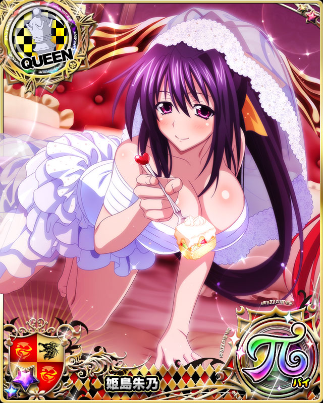 himejima akeno (high school dxd and 1 more)