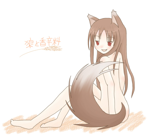 holo (spice and wolf) drawn by sakuramori_sumomo