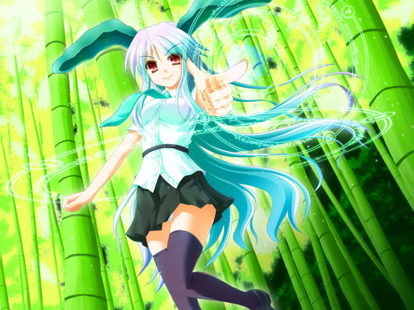 reisen udongein inaba (touhou) drawn by akashio_(loli_ace)