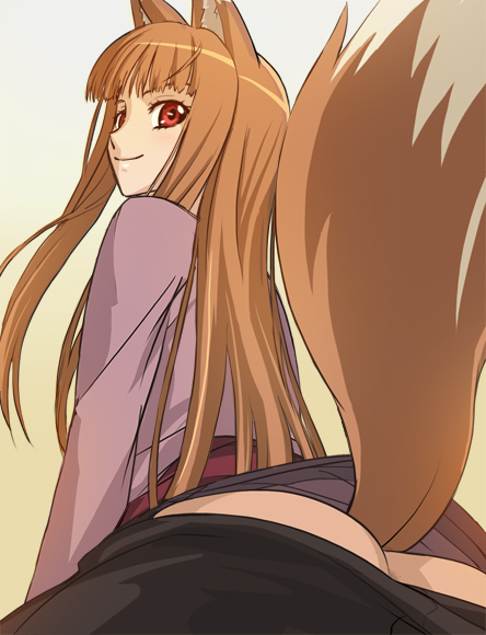holo (spice and wolf) drawn by haruyama_kazunori